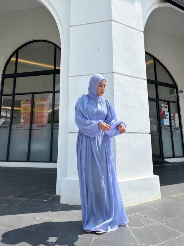 Sofea Dress Chiffon Silk