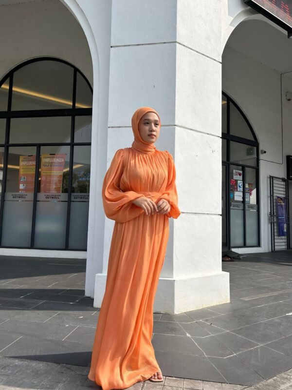 Sofea Dress Chiffon Silk